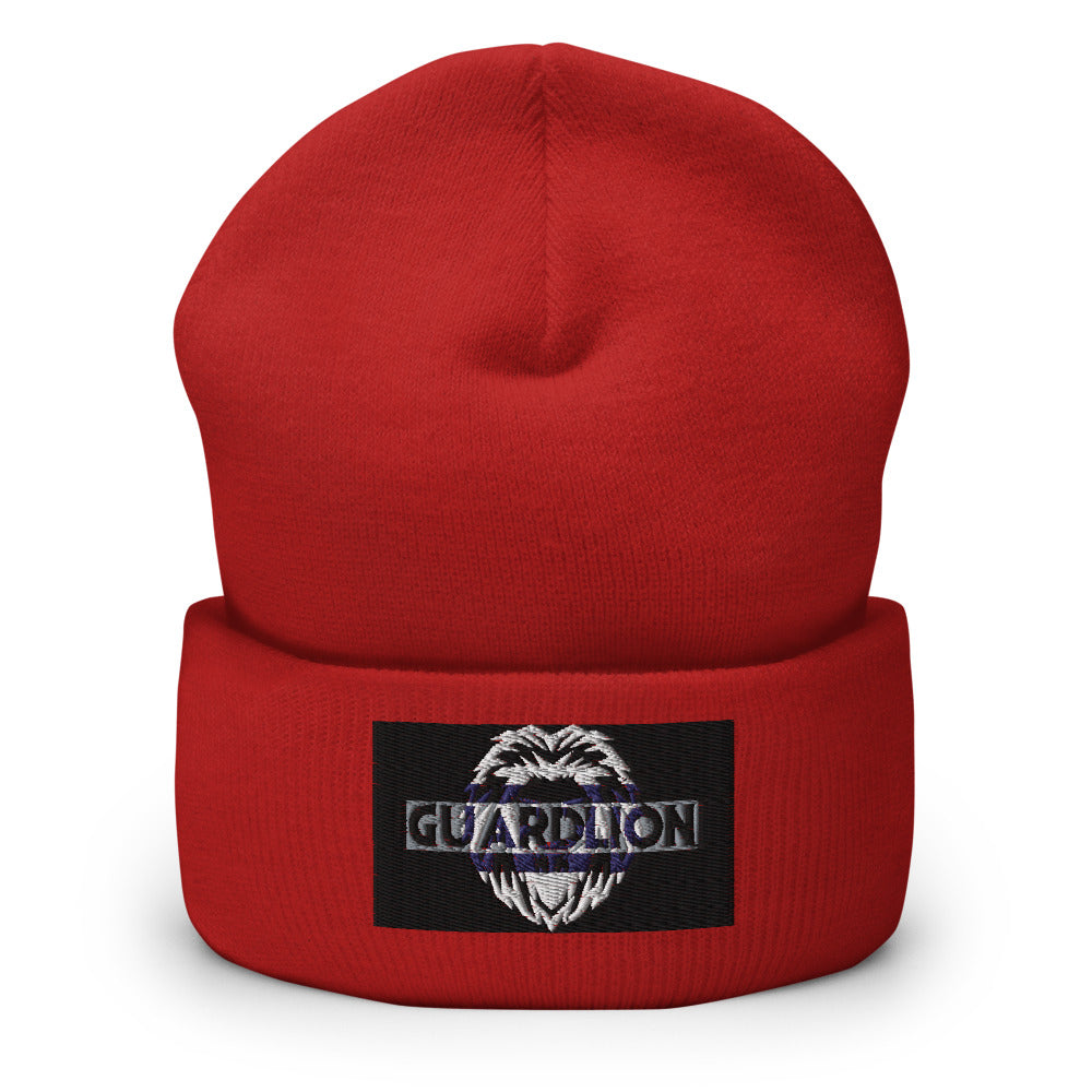 Cuffed Beanie | Yupoong 1501KC embroidered black2 insignia